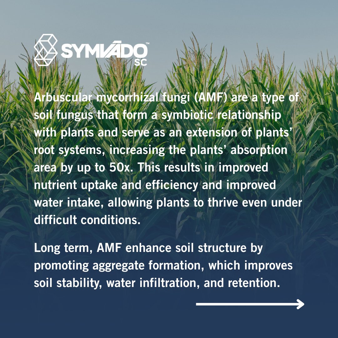 ValentBioSci's tweet image. This #WorldEnvironmentDay, we honor growers and partners who turn sustainability into action. Using science-backed solutions, they improve soil, conserve resources, and boost yields—proving that planet stewardship and increased farming ROI can go hand in hand.
#agriculture