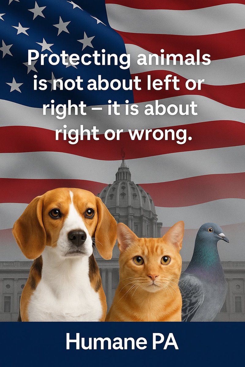 HumanePA's tweet photo. “Protecting animals isn’t about left or right.
It’s about right or wrong.”
– Humane PA https://t.co/GA2bCGiKp1
