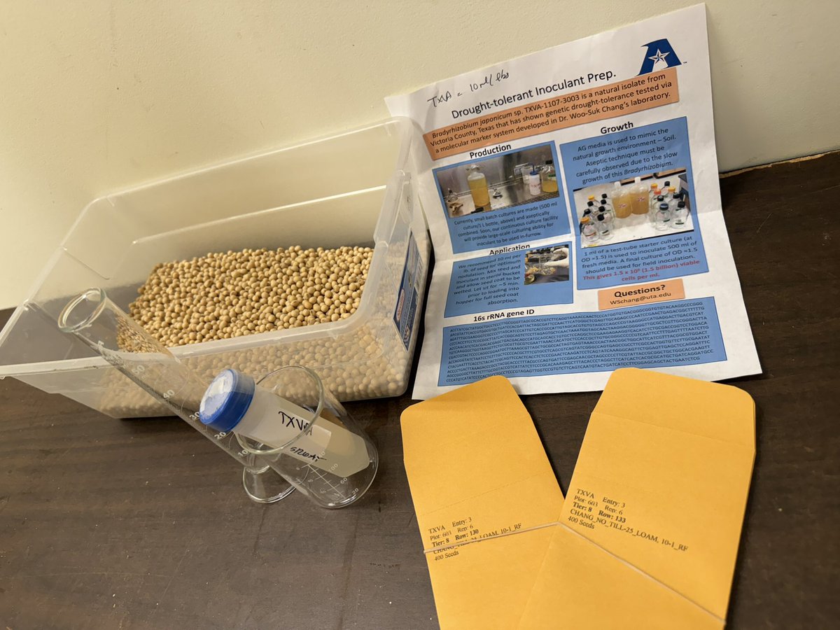 ravelombola's tweet photo. In collaboration with University of Texas, we will be testing two different inoculants: 👉UTA: Bradyrhizobium japonicum sp. TXVA-1107-3003: natural isolate from Victoria County, Texas
👉one commercial product
@Singhybridwheat https://t.co/oGWOv2w2oN