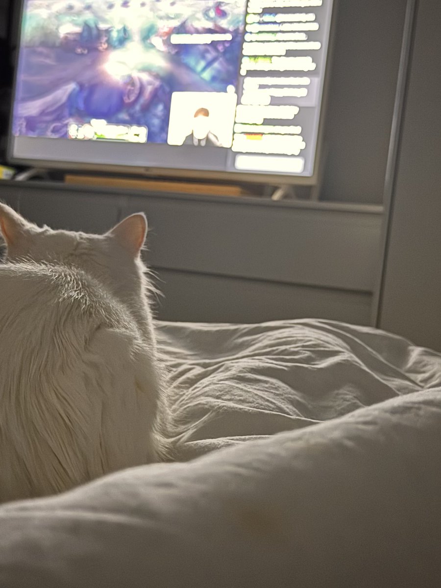 Happy Birthday <a href="/Sykkuno/">Sykkuno</a> 🌱 i might be working now 😪😪🤚🏻 but u surely got me through uni with your streams!! good ole dayss