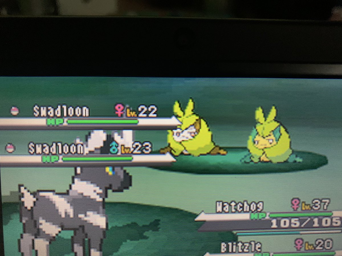 Cuno61's tweet photo. 1st phase looking for shiny tympole / petilil https://t.co/cKsqrzlNZ2