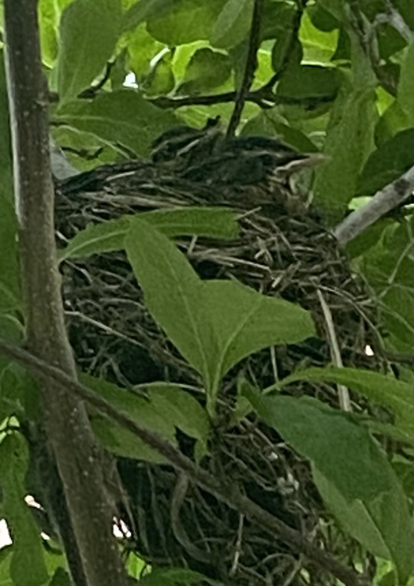 New family right outside our front door