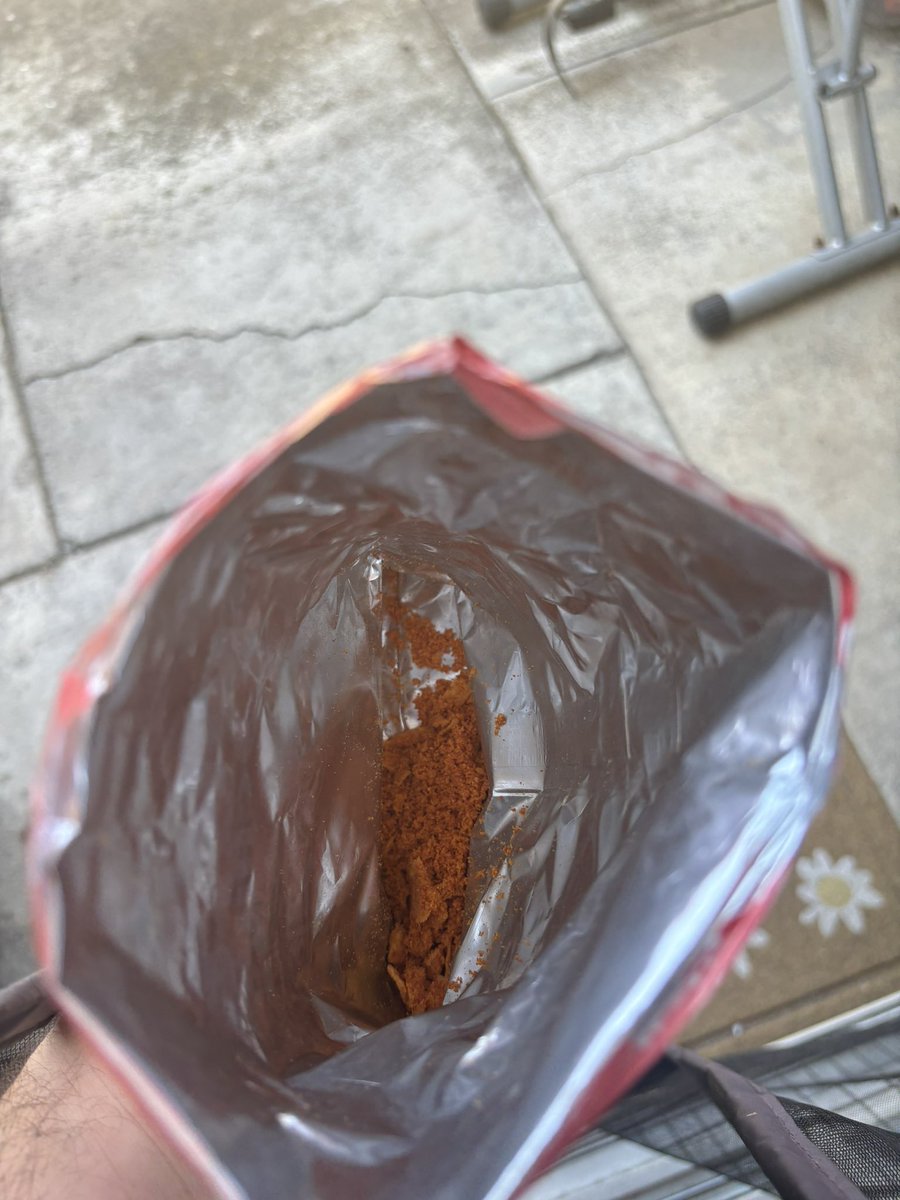 SnackGawd🐝 tweet media