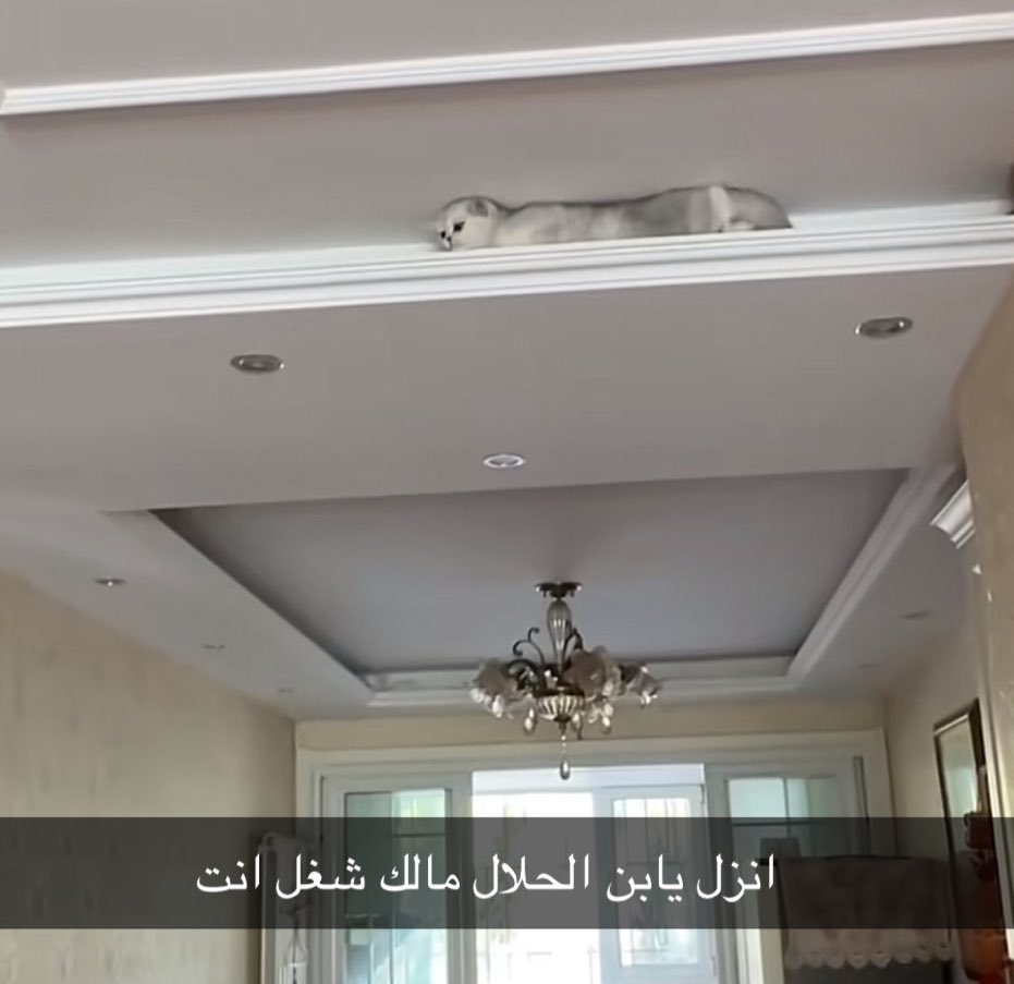 هاني tweet media