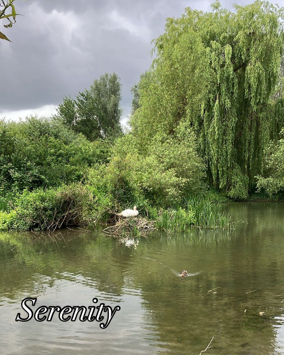 mhauser_author's tweet image. 