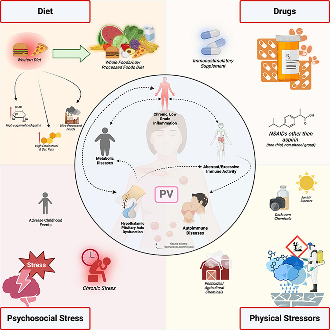 jidinnovations's tweet image. From the May 2025 issue: How do the &quot;exposome&quot; and &quot;behaviorome&quot; affect #pemphigus? ow.ly/862I50VgtjY #medderm