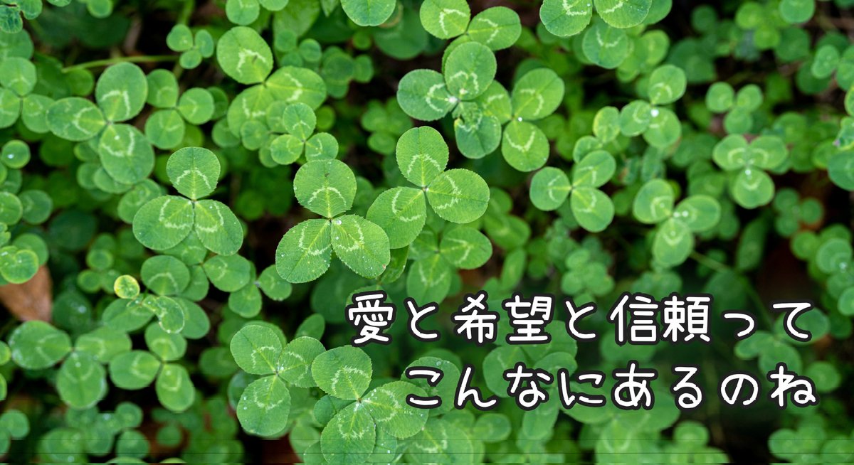 おはようございます🌳

三つ葉のクローバー☘️
３つの葉には
「愛❣️」「希望✨」「信頼🤝」
の意味があるそうです☝🏻
(諸説あり)

これに４枚目の葉が加わると
皆が探す「幸運」の象徴
四つ葉のクローバー🍀

三つ葉❣️✨🤝は沢山あるのに
我々は四つ葉(幸運)だけを探してる
そんな気がしました🙄