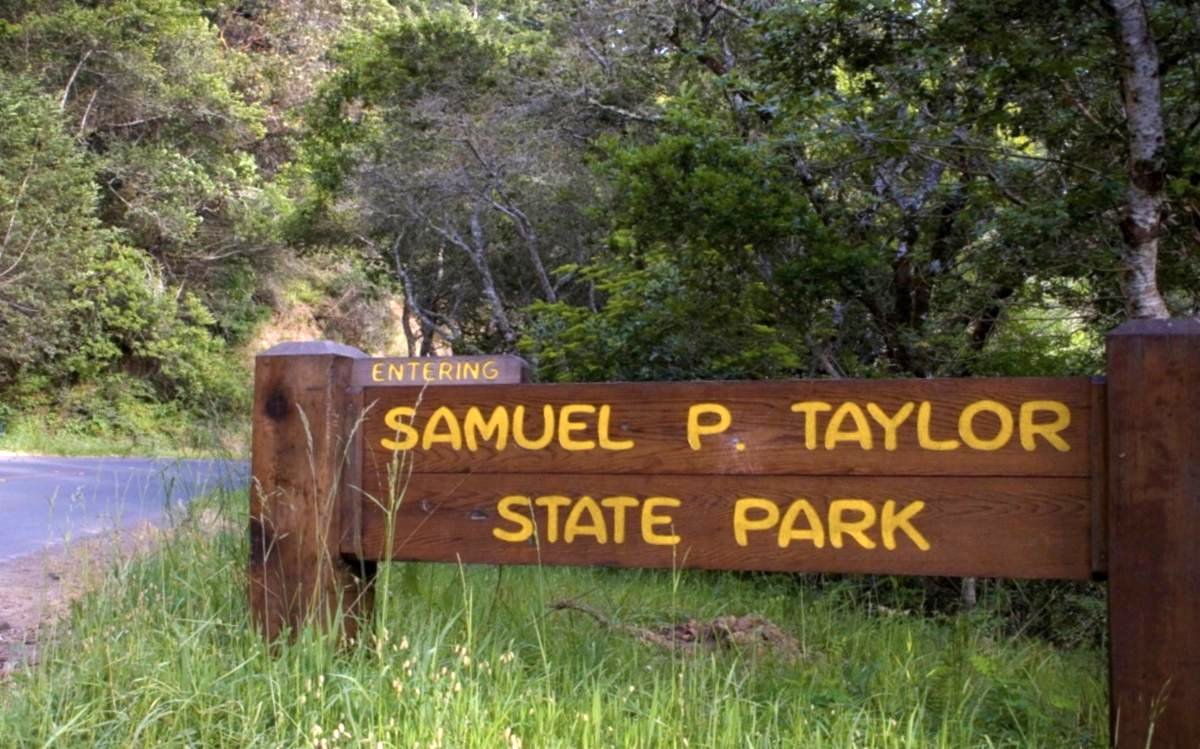 MCL_Marin's tweet photo. Celebrate California State Parks at Samuel P. Taylor! Join us 11am Wednesday, June 11, as California State Parks kicks off a week-long celebration with over 170 events across the state!

#SamuelPTaylor #CAStateParks #MarinConservationLeague #ExploreCalifornia #ThisIsWhereYouLive https://t.co/3EStcRBjZn