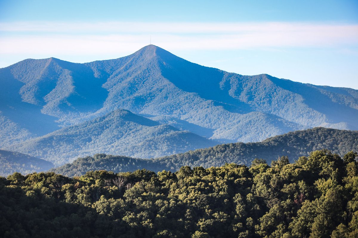 Lyceum Institute tweet media