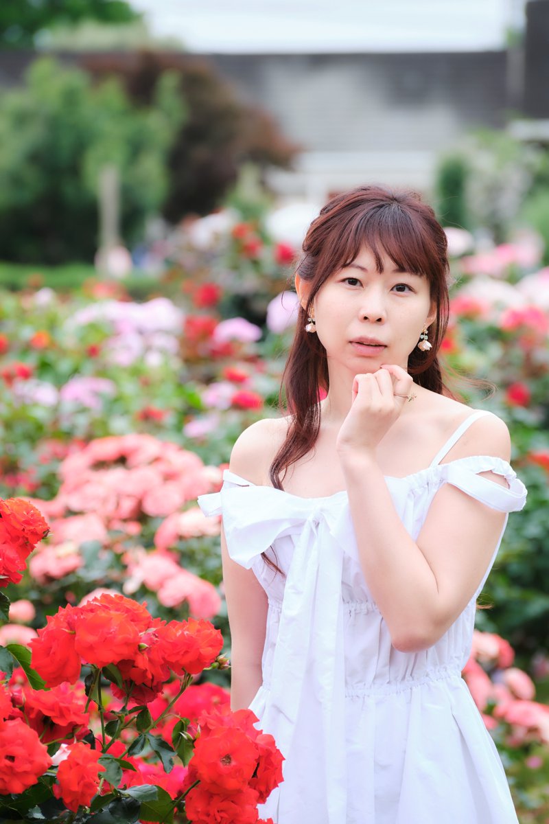 #018

モデルさん：Ayakaさん(<a href="/ayaka_flower__/">Ayaka.🌹フリーランスモデル 被写体 ポートレート</a>)
千葉県八千代市・京成バラ園
24th May'25