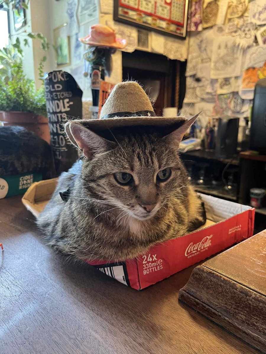EmmaBarnfield15's tweet photo. 🎵 Horne Section, that’s how I like my tour 🎵 
What a great day in Bristol. Went to the cat pub 🐱 and then spent the evening watching the @hornesection 🥰 https://t.co/5h4oj1b9Fg