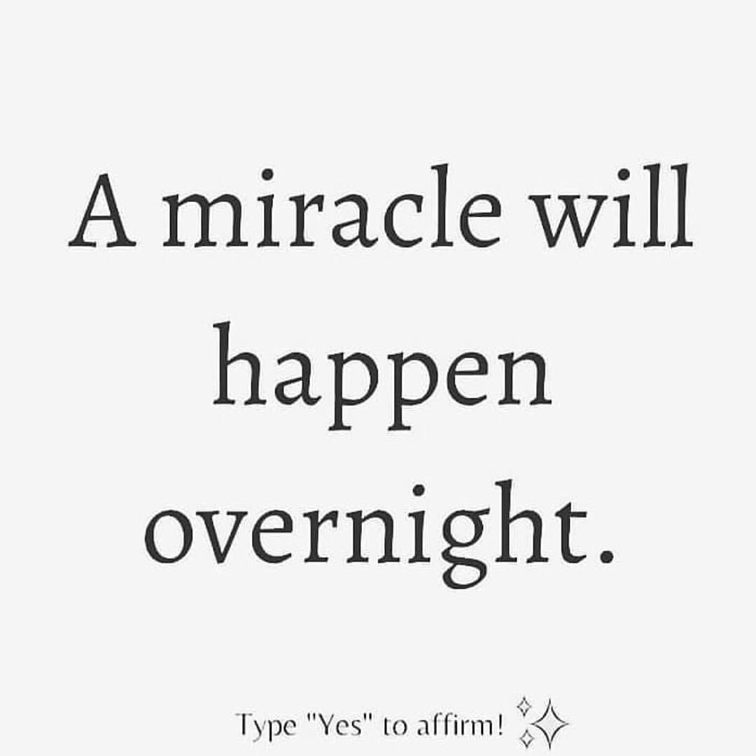Manifest Your Dream Life✨ tweet media