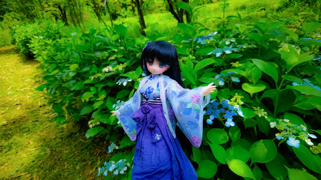 ニア「これからどんどん紫陽花が咲きそうで楽しみだね♪」