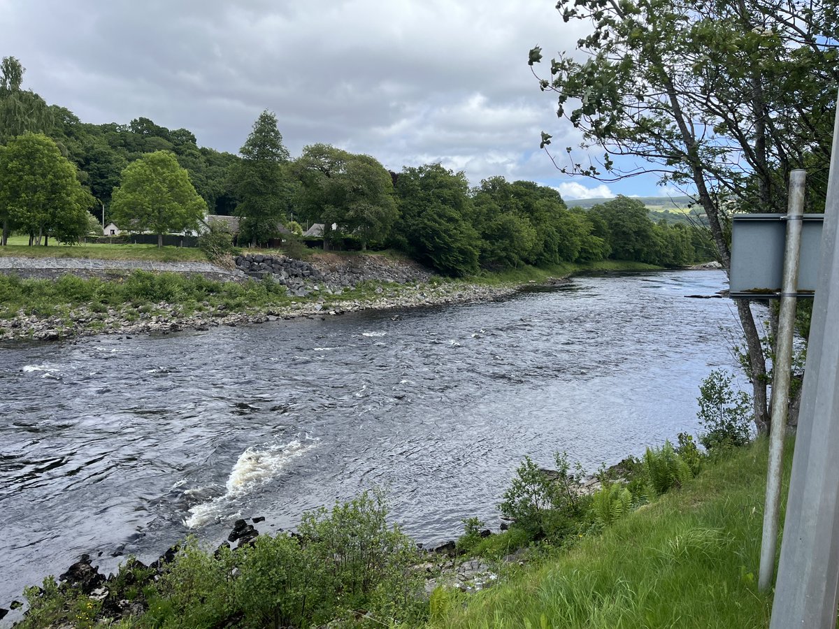 Ladder count 1022
Water temp 55F ( 12.7C)
Wednesday 4/6/25     14:11 BST
Recent rain has brought a badly needed lift in water levels. Fish are running.