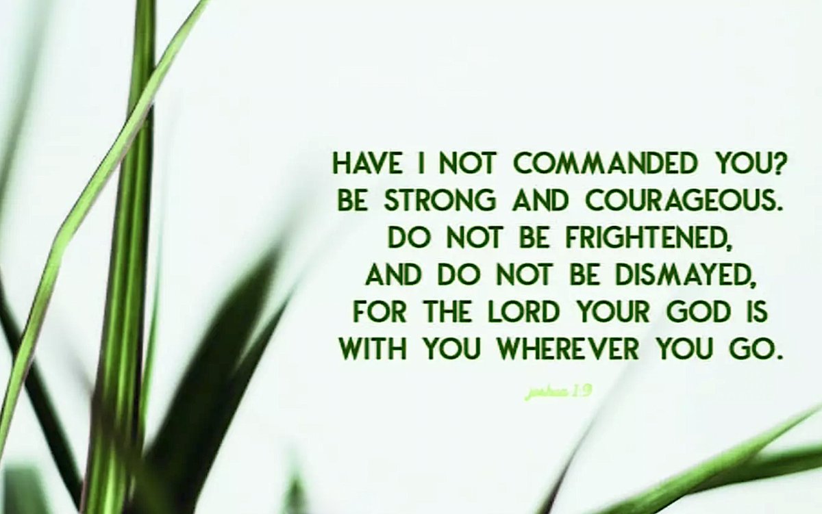 <a href="/TheyCallMeDoc1/">TheyCallMeDoc</a> <a href="/tracied51/">𝓣𝓻𝓪𝓬𝓲𝓮🇺🇸❤️🙏</a> <a href="/kashunco/">Pat Patriot</a> <a href="/MichaelAngelX0/">Michael Mullins</a> <a href="/Lisasbaktkake/">Lisasbaktkake! 🍰🫓🫖</a> <a href="/_SmokeyGirl25/">SmokeyGirl25</a> <a href="/Rachel4Trump_45/">🗽🇺🇸 Rachel 🇺🇸🗽 ✨#TRUMPWON✨</a> <a href="/Michelle__Skye/">Michelle Budinger M</a> <a href="/ricphy2/">ricphy</a> <a href="/GaryWalters66/">Gary Walters</a> <a href="/TJLakers01/">Tim Lawrence</a> <a href="/4_0GTS/">X MAGA News (Chris)</a> <a href="/Bagel69er/">🇺🇸🇺🇸🇺🇸Bagel Colorado❤️🤍💙</a> <a href="/JackMedia7/">AMERICANDREAM09 🇺🇸 Jack Media ~DREAM</a> <a href="/BRRRCO/">CasperOtto</a> <a href="/DreamyTechGirl/">DreamyTechGirl 🌺🦋💙</a> <a href="/arva61138/">Blondelady2024</a> 🇺🇸✝️🇺🇸Thank you so much Doc! <a href="/TheyCallMeDoc1/">TheyCallMeDoc</a> 
Follow back Patriots
An honor to be on Doc's train don't waste his efforts
💗🛐💗God bless Everyone🥰
You've been prayed for!
🌻🌻🌻 <a href="/TheyCallMeDoc1/">TheyCallMeDoc</a> <a href="/jujutsucop/">Brooks Bryan</a>
<a href="/T67562897/">Theresa</a>
<a href="/justronagain/">Justronagain</a> <a href="/mombelieves/">MomBelieves</a> <a href="/tjpowell2008/">Tammy Jo</a>
<a href="/RetiredNikitaM/">🌹Rosarian NikitaMarie</a>