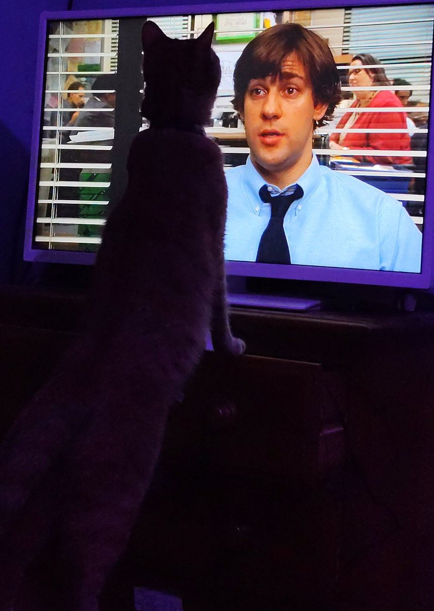 What a photo 🤣🤣