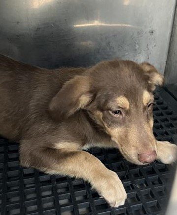 Suspense tweet media