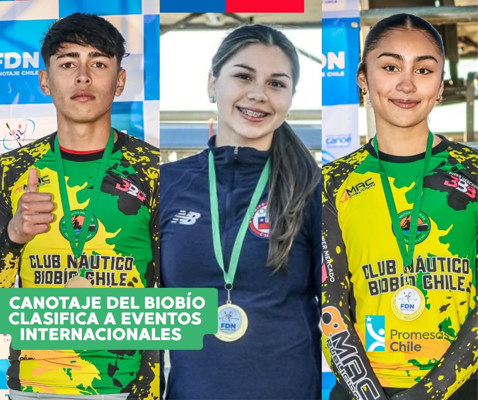 Mindep Biobío tweet media