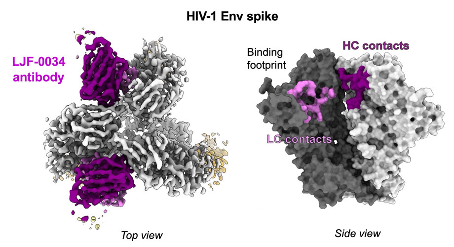 Scripps Research tweet media