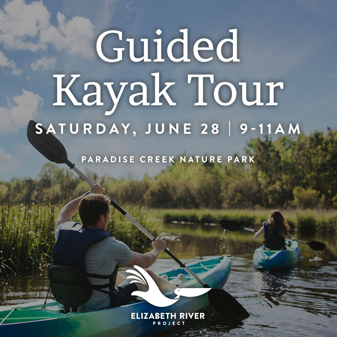 Take a tranquil kayaking adventure through the largest restored wetland in VA! Join us for a guided kayak tour of the fascinating marsh ecosystem at Paradise Creek Nature Park – great for beginners or experienced paddlers 🛶 Learn more &amp; sign up: brnw.ch/21wTan7