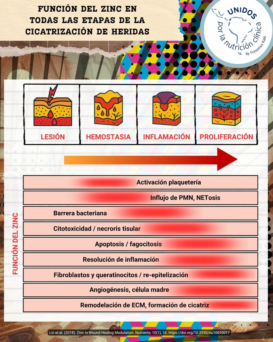 UnidosxNCmx's tweet photo. El zinc es clave en todas las fases de cicatrización de heridas: hemostasia, inmunidad, proliferación celular y remodelación tisular. 🩸🛡️🧬
📚 Lin et al. Nutrients 2018.
#NutriciónClínica #CommittedToLife https://t.co/M6eTFK7EKd