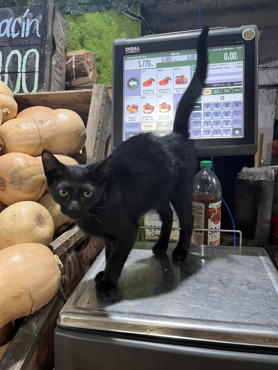 Qué fruta rara, pero como no soy verdulera, no opino.