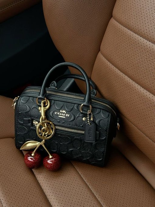 Coach bag 🖤🍒