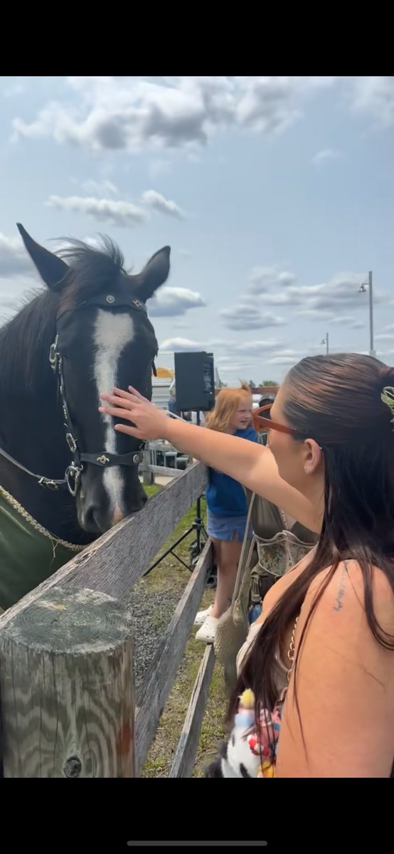 Matt McKay tweet media