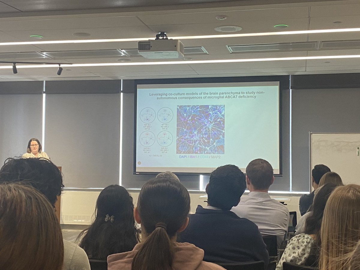 YoungPearseLab's tweet image. Proud of our amazing postdoc @Heuerwego 👏 who gave a fantastic talk today on her work leveraging stem cell models 🧫to examine the molecular and functional consequences of Alzheimer's disease genetic risk in microglia today as part of the BWH Neuroscience Seminar Series!