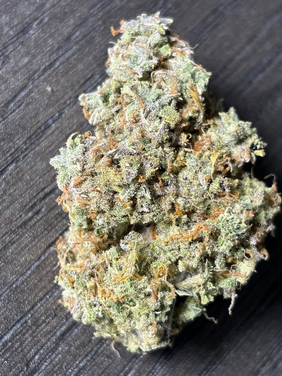 JB (@jbsgrowing) on Twitter photo Brain freeze- Dosi do x Iced n baked
By <a href="/MephistoGenetic/">MephistoGenetics</a>
Brain freeze report- Sticky, dense, skunky, citrus. Buds are solid af. Smells like that zebra stripe gum mixed with a skunky funk. SO LOUD it stinks up your house and the high to match. One of my top fave smokes now. Brain freeze- Dosi do x Iced n baked
By <a href="/MephistoGenetic/">MephistoGenetics</a>
Brain freeze report- Sticky, dense, skunky, citrus. Buds are solid af. Smells like that zebra stripe gum mixed with a skunky funk. SO LOUD it stinks up your house and the high to match. One of my top fave smokes now.