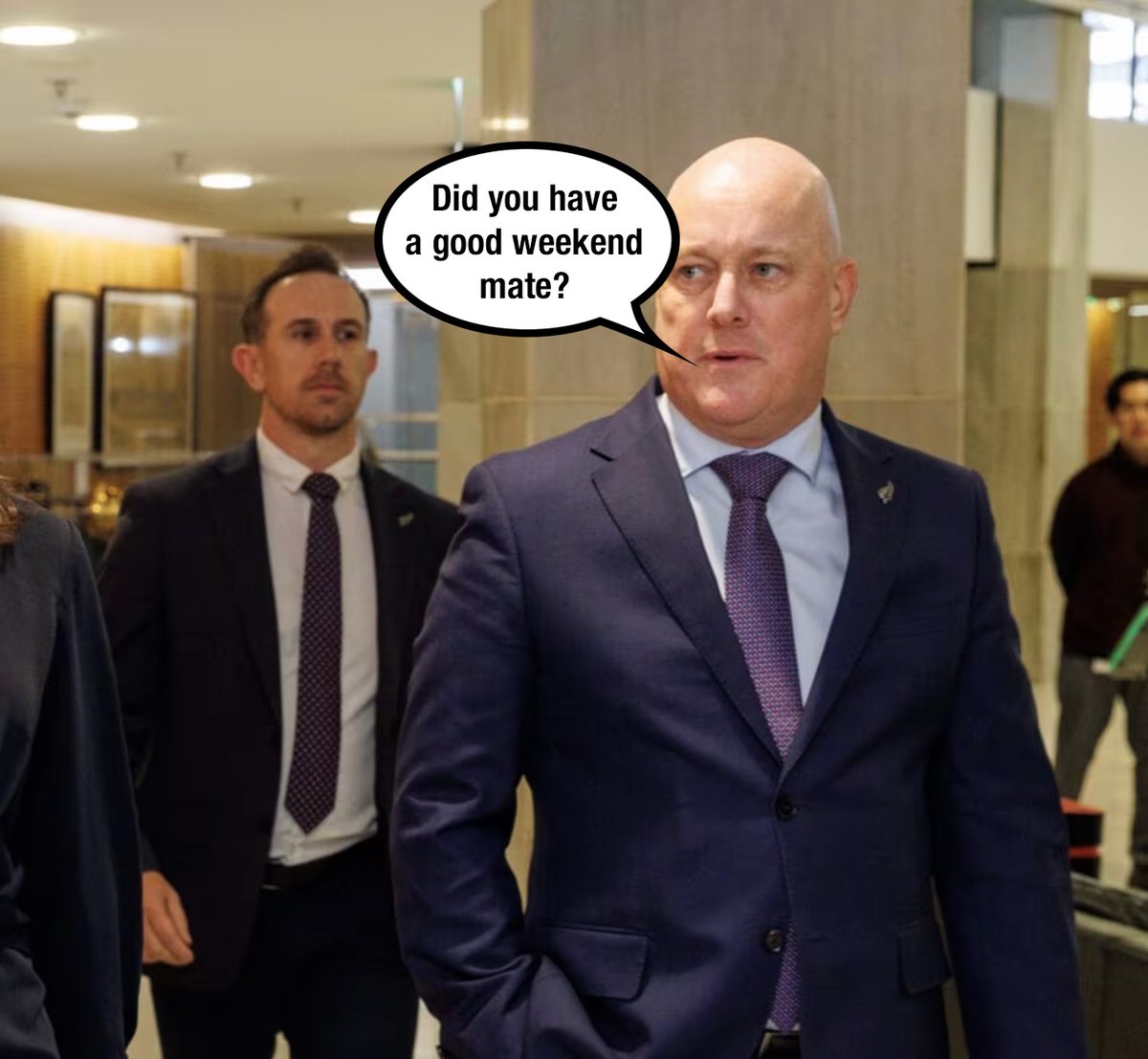 subhuman behaviour
#nzpol