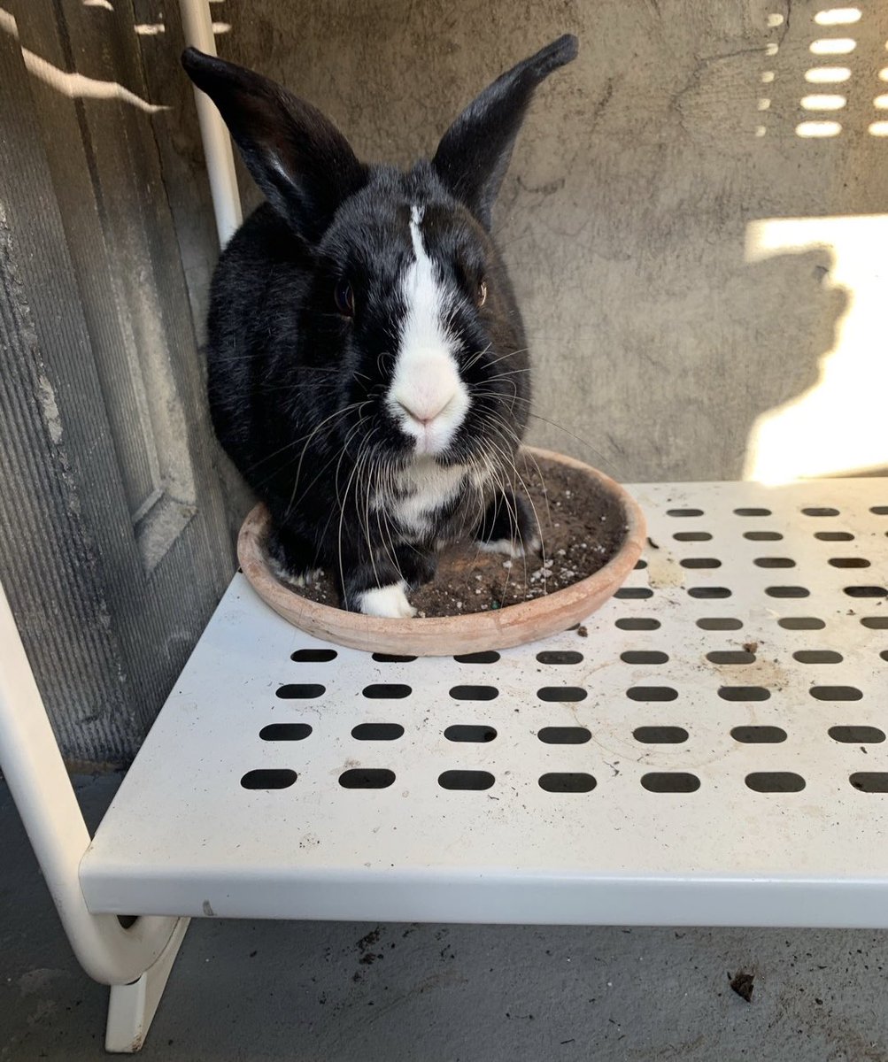 does anyone know what plant this is