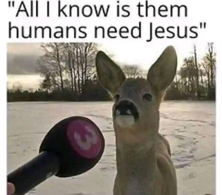 😂