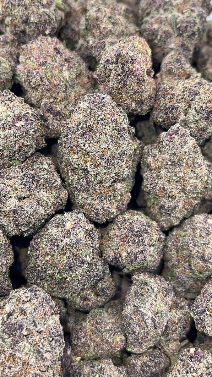 Laughing Gas

28g $130 
2 oz  $250
Nose 10/10🔥