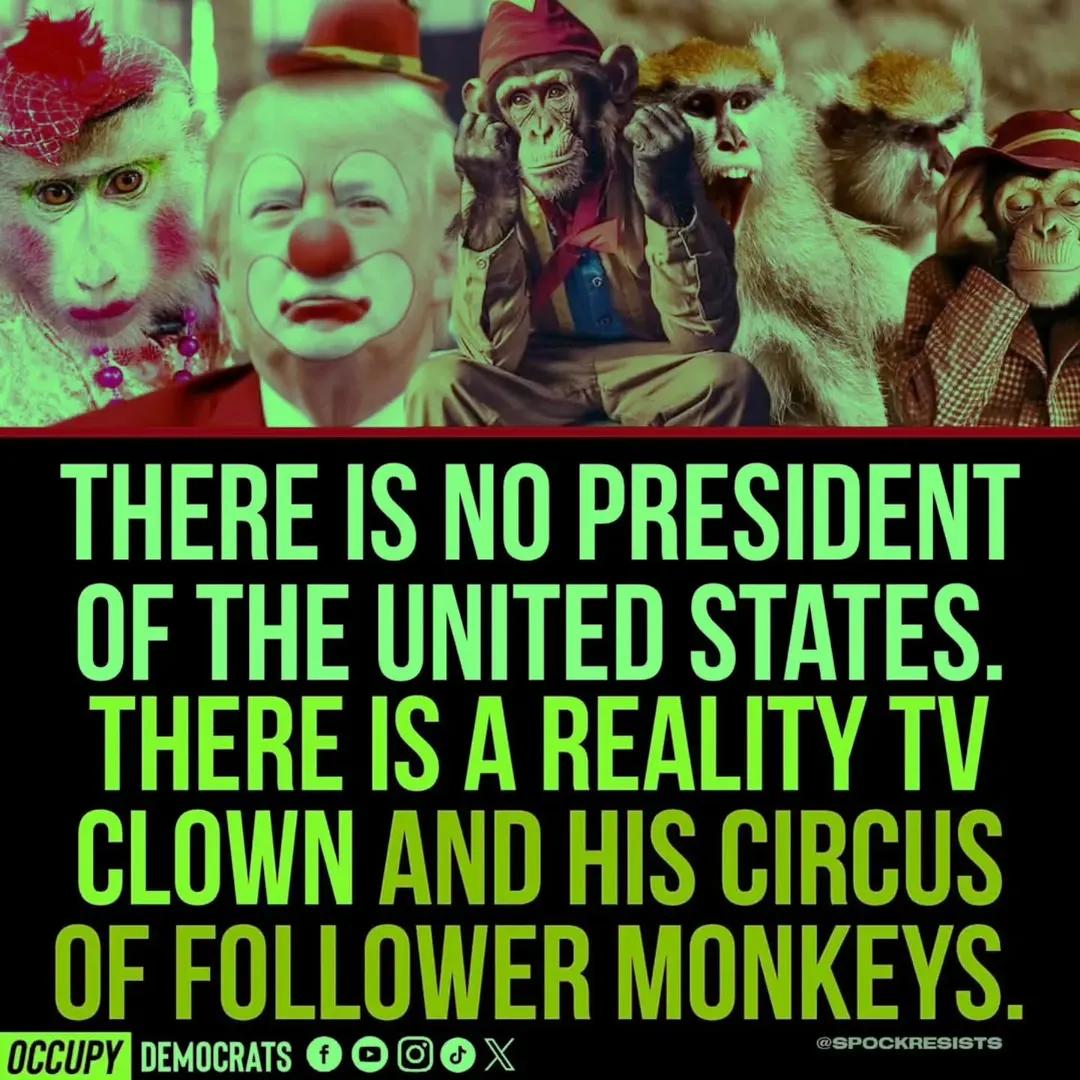 BillEaster10's tweet image. #TrumpLiesEveryTimeHeSpeaks shifts blame to Jerome Powell after #JobReport shows worst hiring slowdown in years 

Source: Daily Mail @realDonaldTrump #InterestRates #FederalReserve 

share.newsbreak.com/deo3gbio