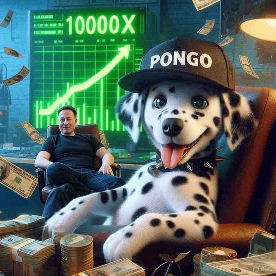 $PONGO waiting peacefully for this altseasson,  never fade , never lose hope 🚀 1000x is inevitable 🚀

#CryptoNews