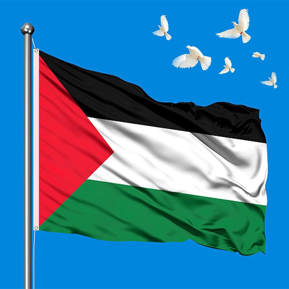 🇫🇷🇵🇸 "Je n’ai pas peur de la mort, et encore moins d’Israël. S’ils veulent me tuer, qu’ils le fassent. Je partirai en ayant fait ma part", déclare Rima Hassan, qui a pris la route en direction de Gaza.