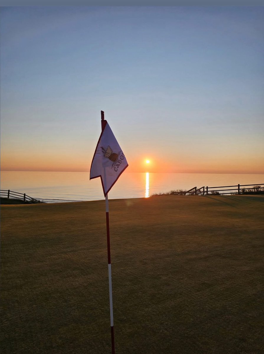 itsteeznow's tweet image. No place like home, I’ll tell you that for free ⛳️