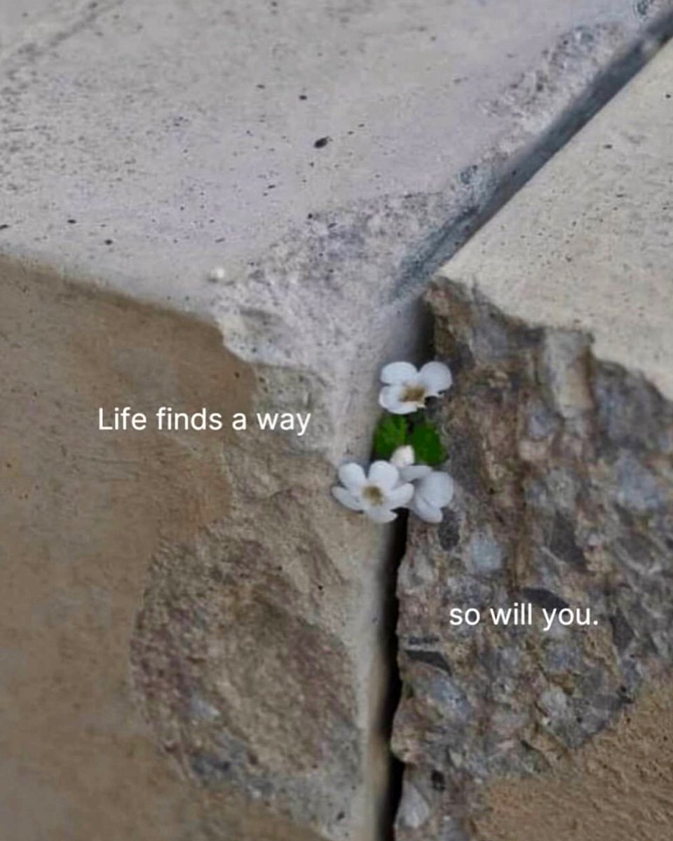 Life finds a way, so will you ❤️💚🖤