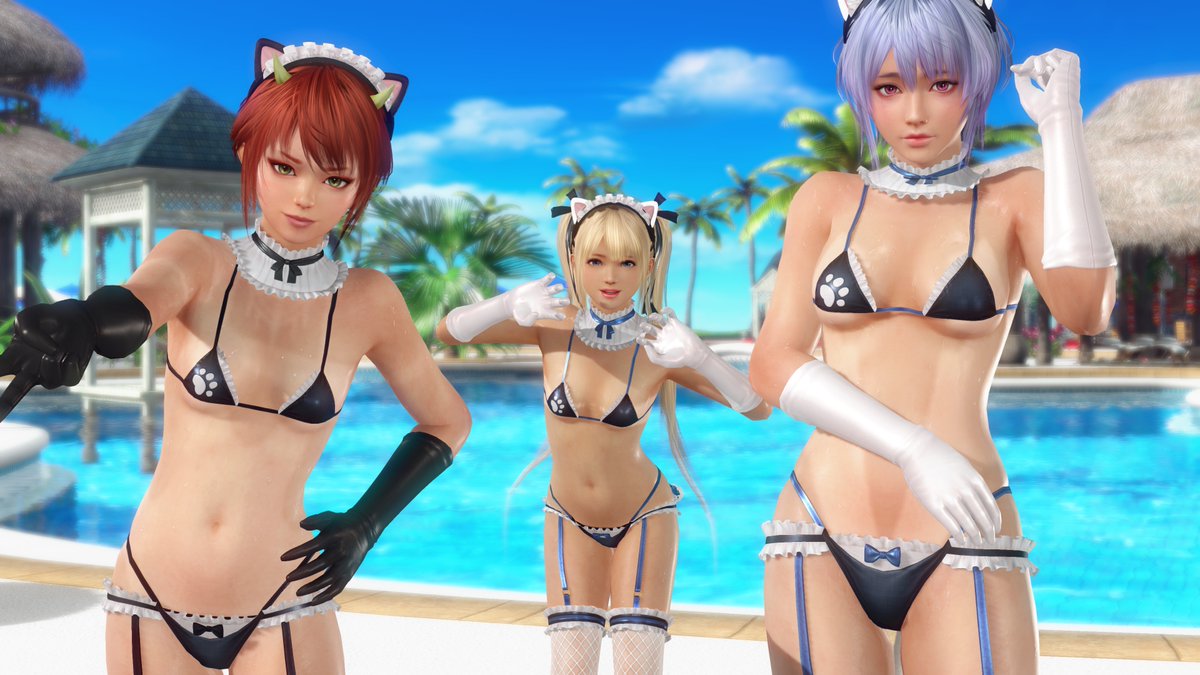 a15123735's tweet photo. メンテにゃんす🐈 🐈🐈　#DOAXVV https://t.co/tCp3DULkuC