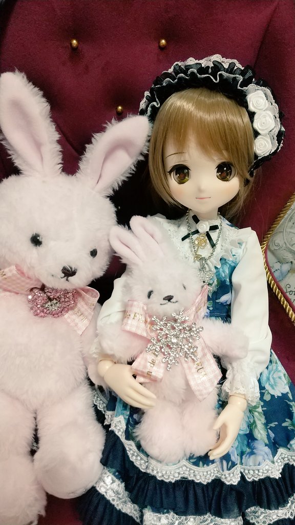 #おはドル
今朝は体調よくなってきました🙏✨油断は出来ませんが、イリスちゃんとメゾンドフルールの🐰ちゃんが可愛いです💖✨心の栄養☺️💕✨