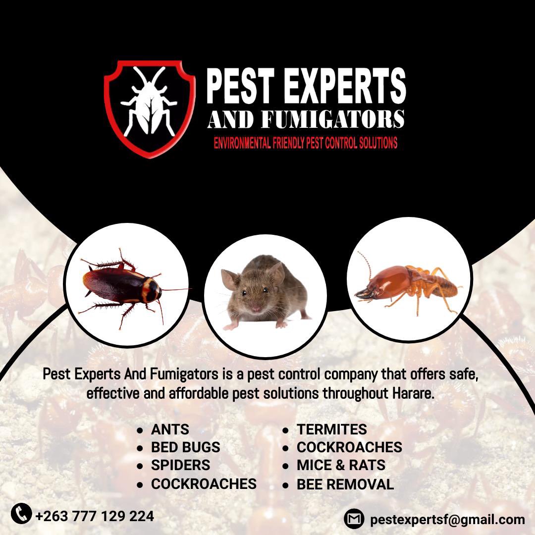 pestexperts_zw's tweet image. #BedBugAwarenessWeek

In hospitals, bed bugs can lead to cross-contamination risks. With constant traffic from patients, staff, and visitors, an issue can spread fast.