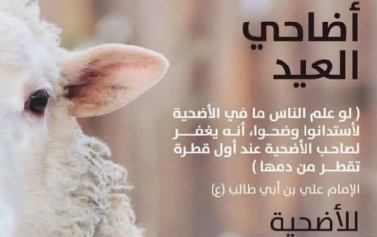 mayceosmithii's tweet photo. تنويه ل اصحاب الضمير الحي .🇵🇸
اضاحي الاغاثة اصبحت جاهزة ،ضاعف اجرك وأدي سنة نبيك وادخل فرحة العيد ل بيوت الفقراء والمحتاجين في غزة ، سنشارك هذه اللحظات بث مباشر بأذن الله للتبرع والاستفسار 👇📞📩
(https://t.co/N3t5nLCHxt)
 #NFTartist #يوم_الترويه #Palestine #bbtvi #ViratKohli https://t.co/5f4rdSL8Cz