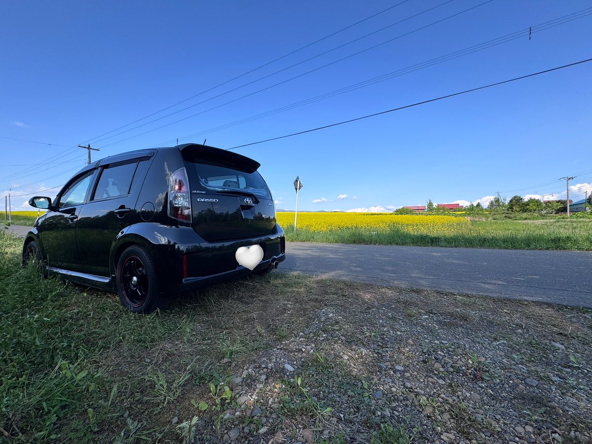 グレイシアイス❄️ tweet media