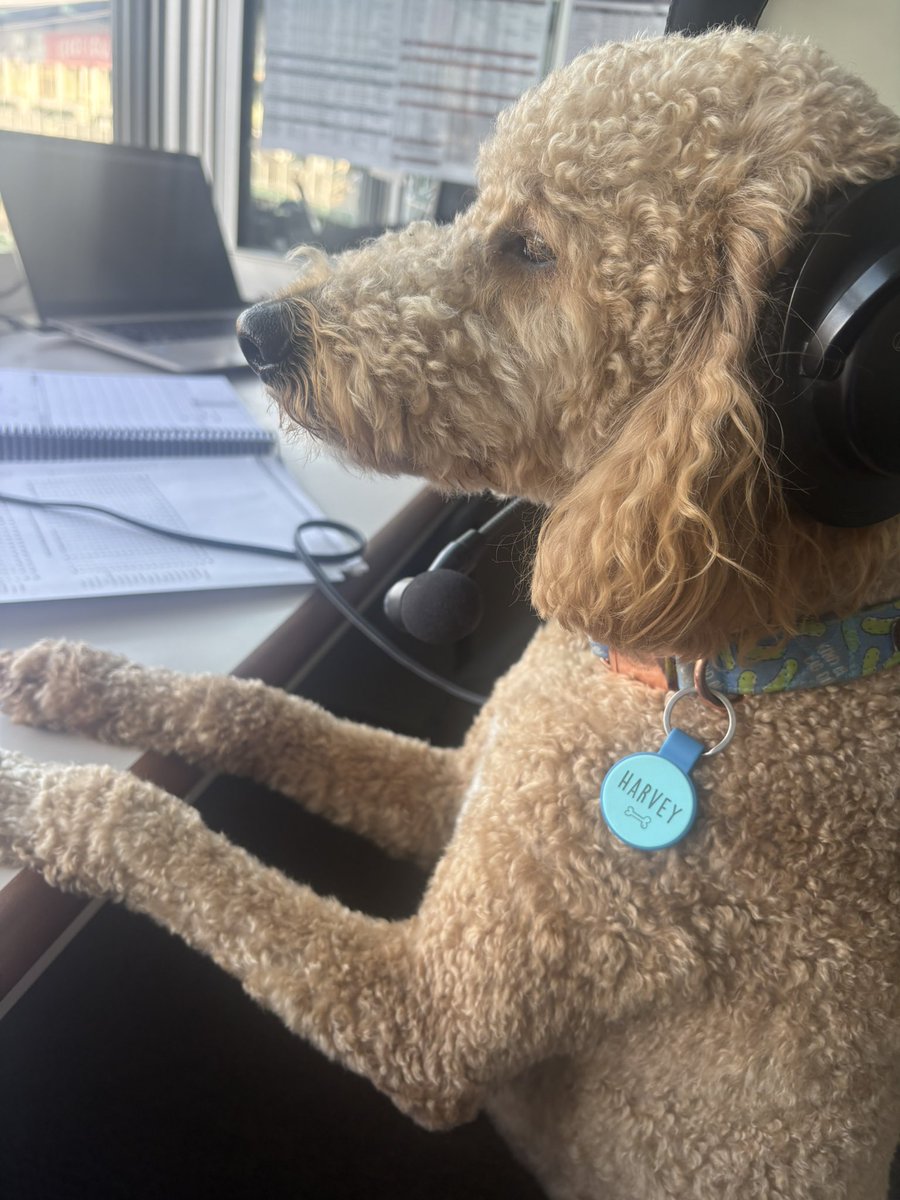 And tonight it’s Bark in the Park, so he’ll get the middle innings off in place of Harvey