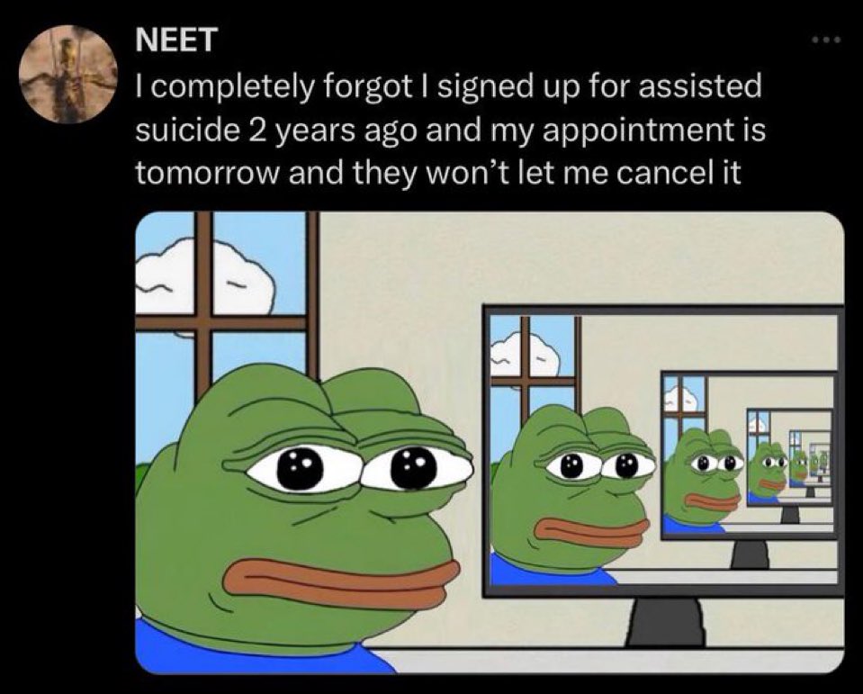 memechaotic's tweet image. 