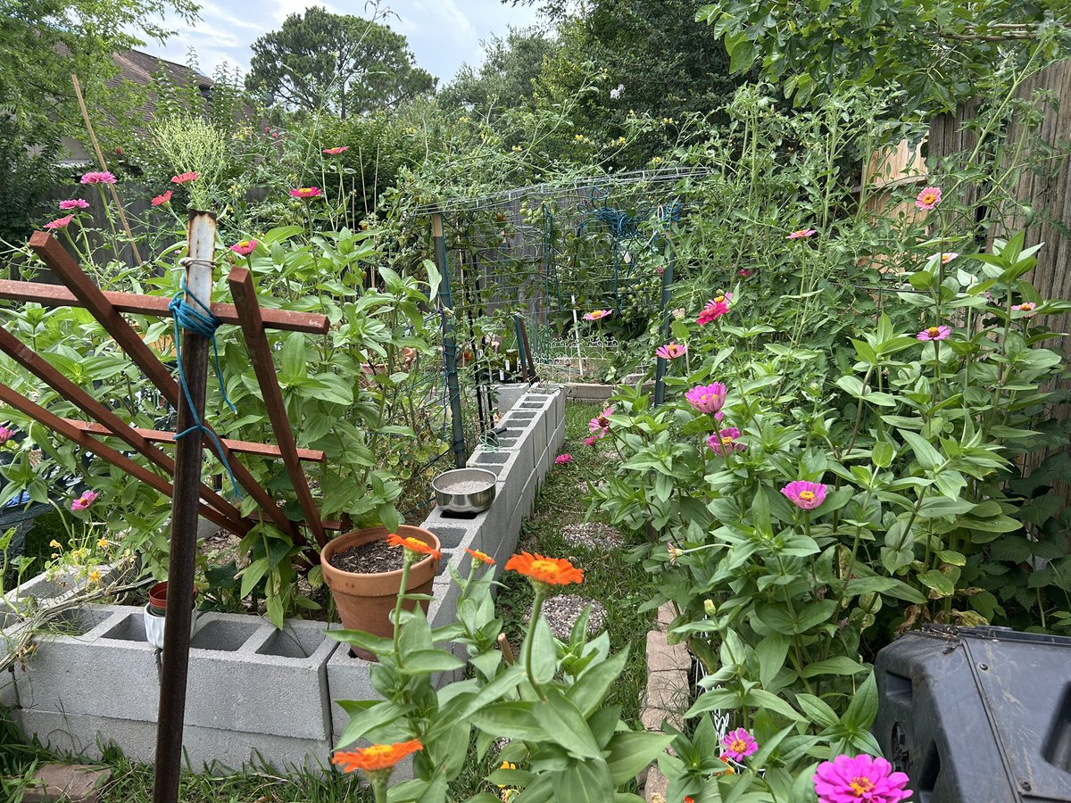 water your garden daily. 

there’s a life lesson in there somewhere.