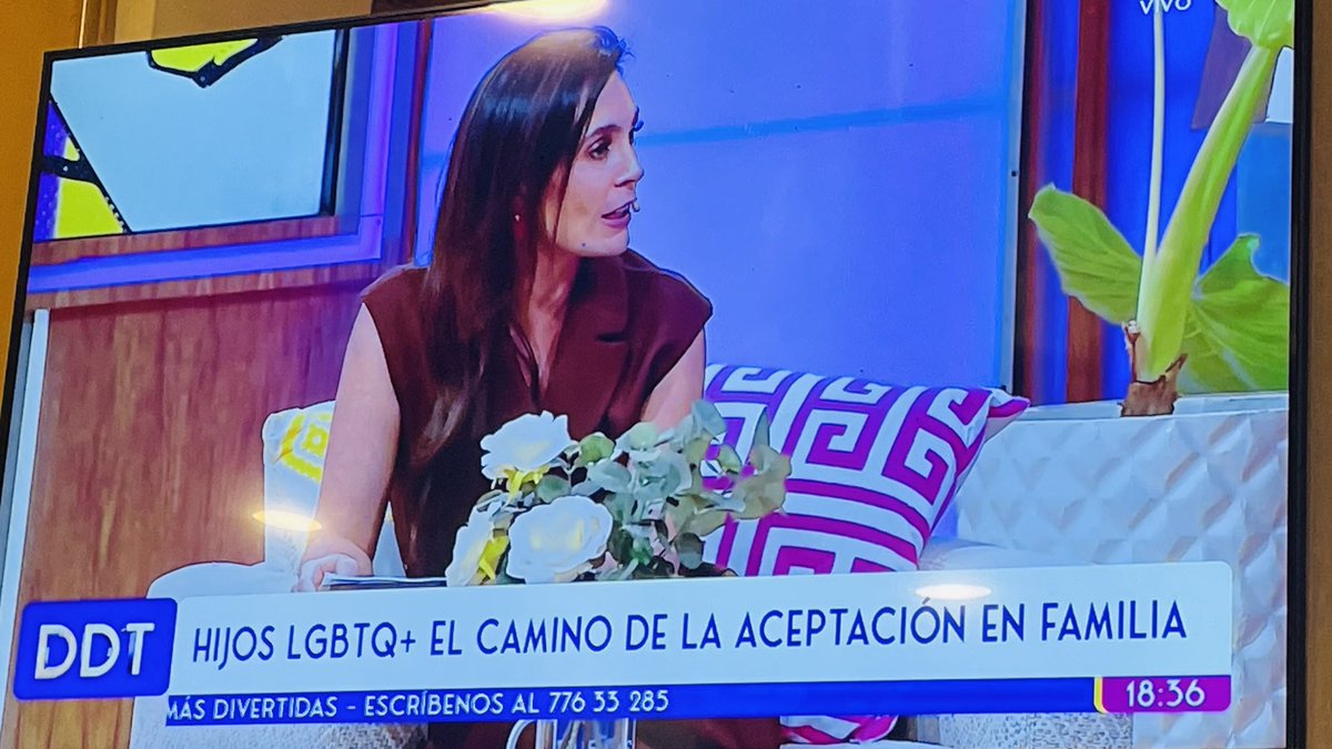 Realmente deplorable el desempeño de Ximena Zalzer al presentar a una familia LGTBIQ+ diciendo que ‘no toda familia es perfecta’. 

👎 Cero sensibilidad con temas de género 
👎 Desde el título es denigrante 
👎 Todo mal mal mal