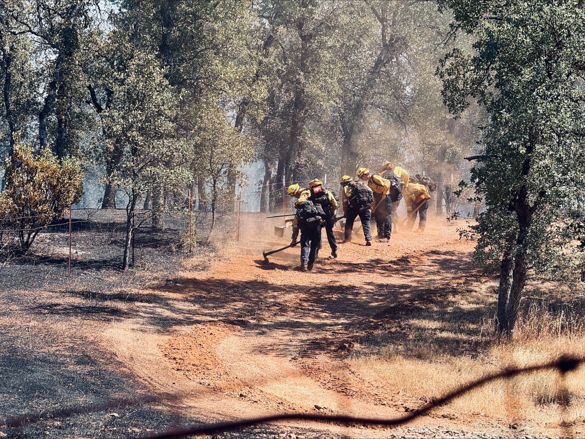 KRCR7's tweet photo. QUAIL FIRE: Firefighters are at the scene of a #vegetationfire burning off Quail Valley Drive in east #Redding.
READ MORE: https://t.co/np3pn9oh02
#fire #vegfire #wildfire #quailfire #calfire #shasta https://t.co/Tz8OJoGt4Z