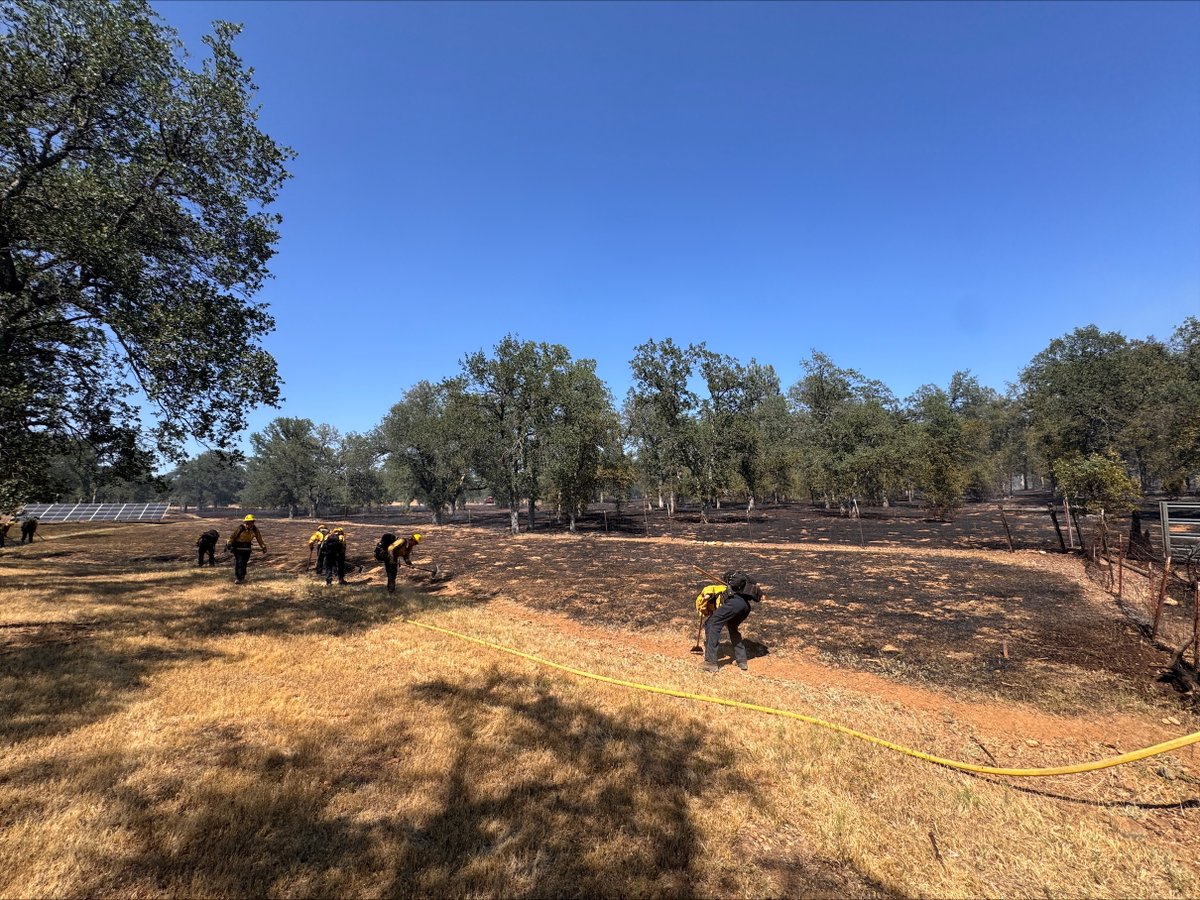 KRCR7's tweet photo. QUAIL FIRE: Firefighters are at the scene of a #vegetationfire burning off Quail Valley Drive in east #Redding.
READ MORE: https://t.co/np3pn9oh02
#fire #vegfire #wildfire #quailfire #calfire #shasta https://t.co/Tz8OJoGt4Z